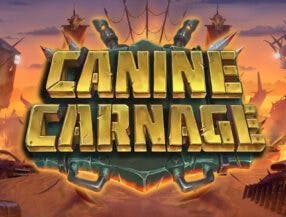 jogos de cartas online grátis